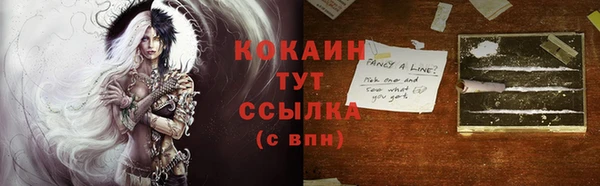 Альфа ПВП Гусев