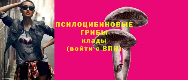 Альфа ПВП Гусев