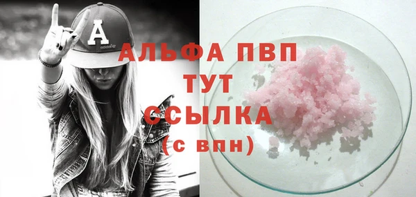 Альфа ПВП Гусев